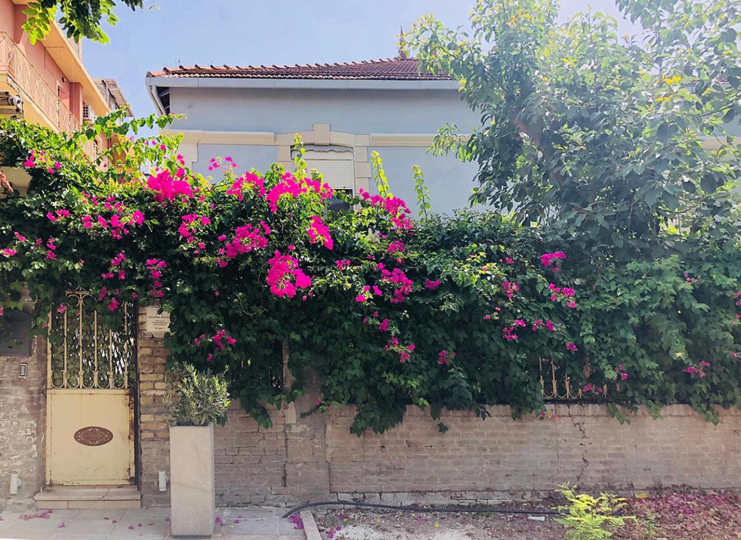 Garden Suites Corfu  Exterior foto